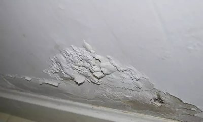 老師傅應(yīng)該如何挑選好的涂料？